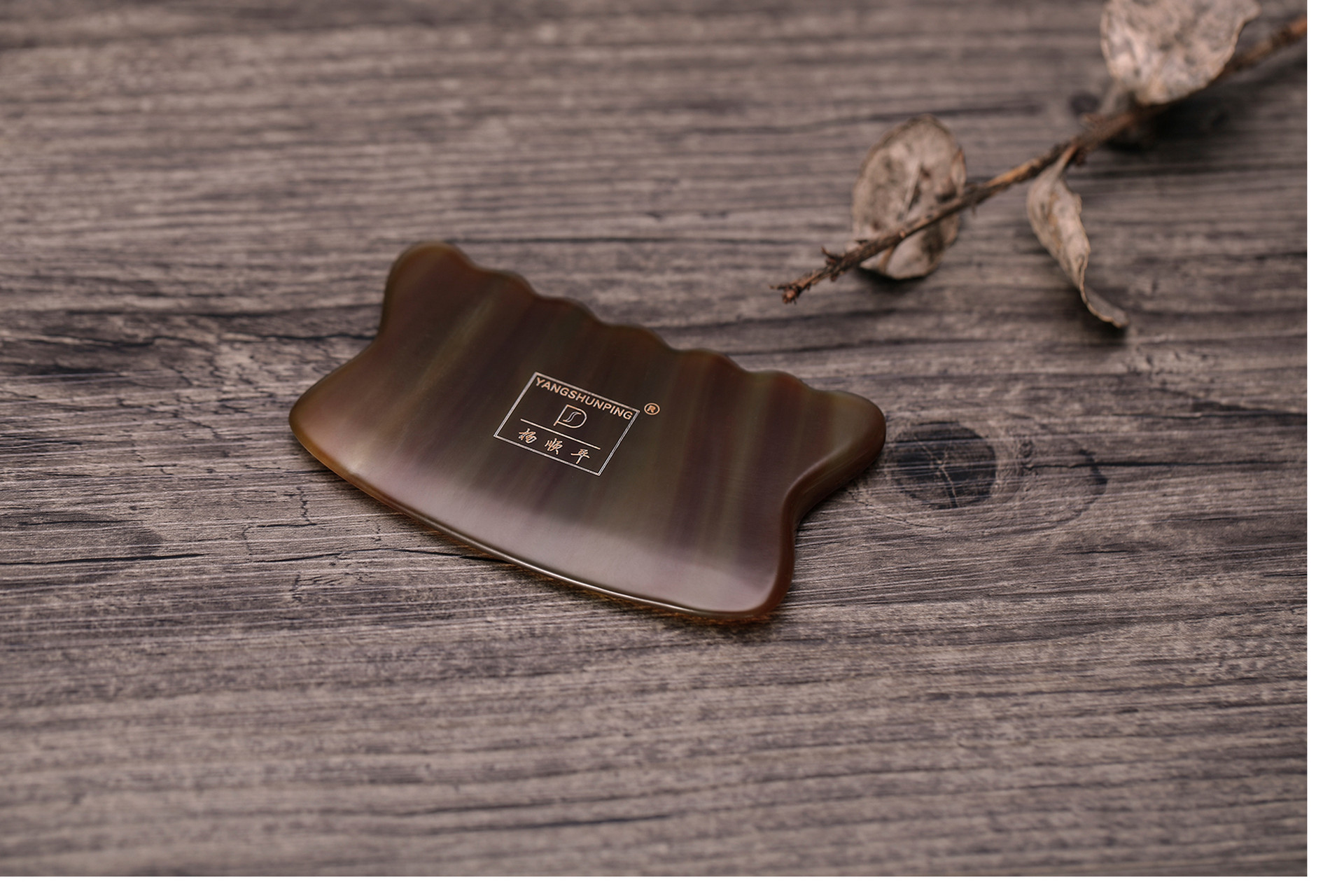 Gua Sha: Traditional Chinese Therapy for Health and Healing