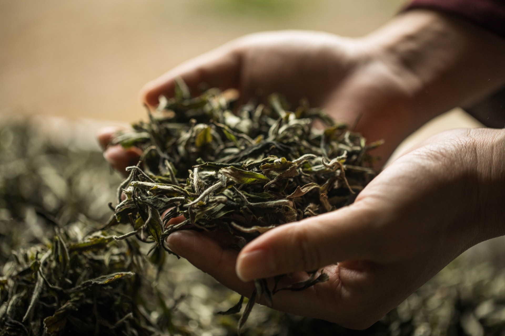 Refreshing and Revitalizing: Peppermint Tea - The Perfect Summer Drink